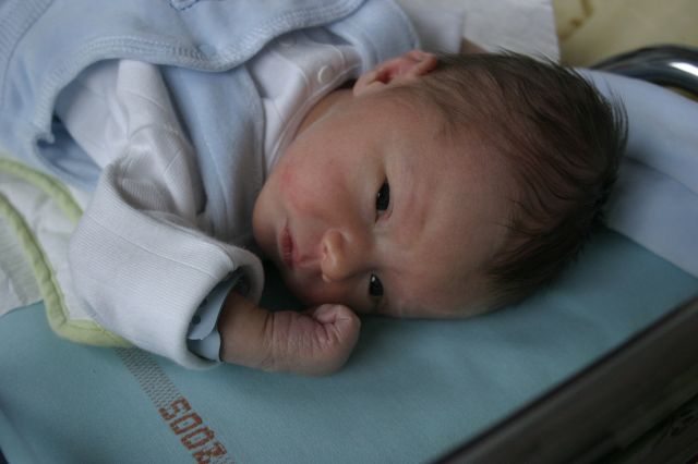 Cliquez pour afficher ou imprimer la photographie en plein format (2,3Mo)