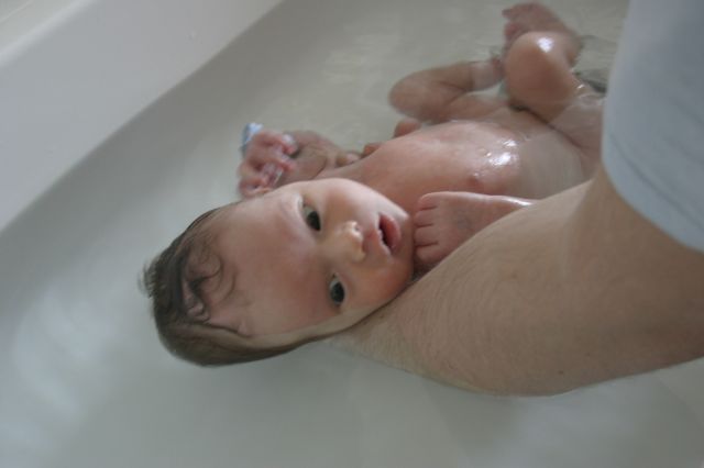 Cliquez pour afficher ou imprimer la photographie en plein format (2,2Mo)