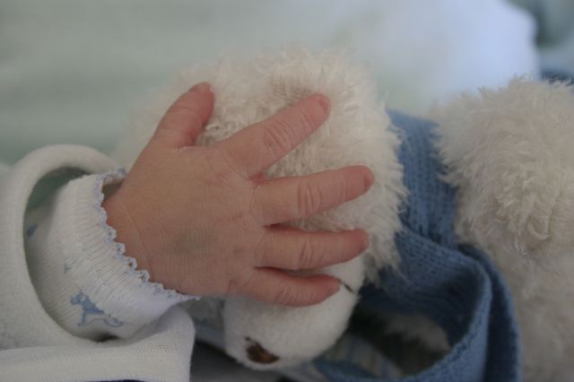Cliquez pour afficher ou imprimer la photographie en plein format (2,8Mo)