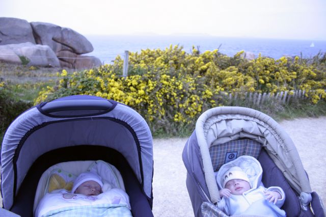 Cliquez pour afficher ou imprimer la photographie en plein format (2,8Mo)