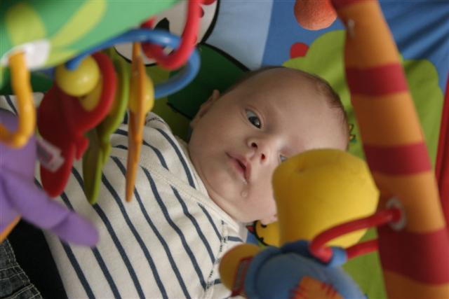 Cliquez pour afficher ou imprimer la photographie en plein format (2,3Mo)