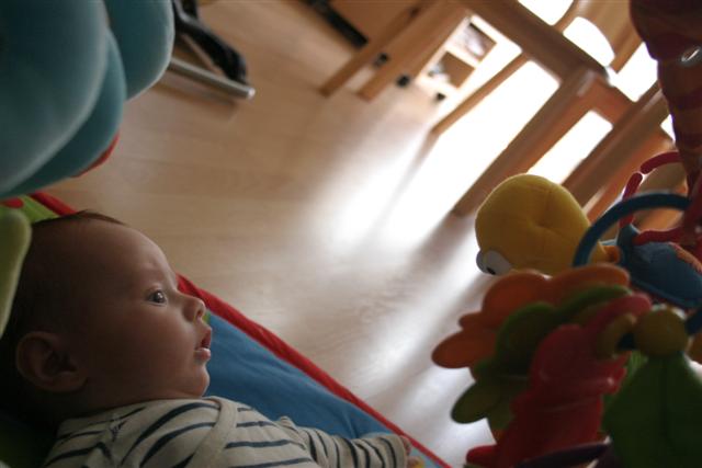 Cliquez pour afficher ou imprimer la photographie en plein format (2,4Mo)