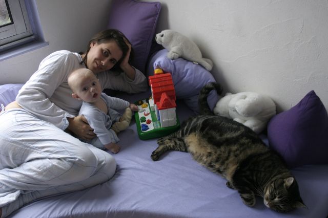 Cliquez pour afficher ou imprimer la photographie en plein format (2,6Mo)