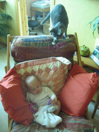 Cliquez pour afficher ou imprimer la photographie en plein format (0,3Mo)