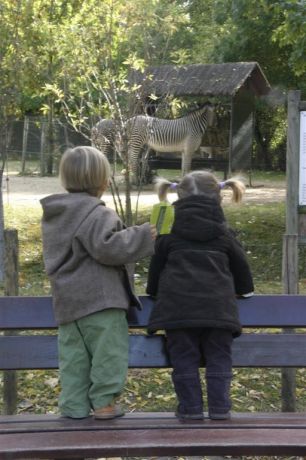 Cliquez pour afficher ou imprimer la photographie en plein format (0,1Mo)