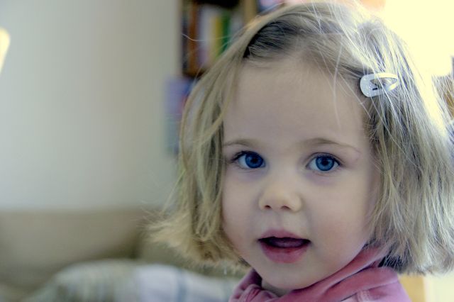 Cliquez pour afficher ou imprimer la photographie en plein format (2,6Mo)
