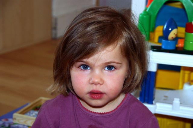 Cliquez pour afficher ou imprimer la photographie en plein format (2,7Mo)
