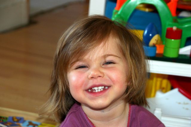 Cliquez pour afficher ou imprimer la photographie en plein format (2,7Mo)