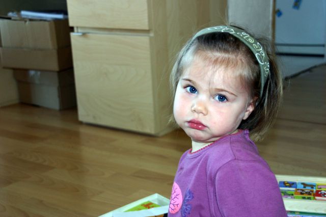 Cliquez pour afficher ou imprimer la photographie en plein format (2,5Mo)