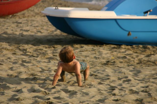 Cliquez pour afficher ou imprimer la photographie en plein format (1,9Mo)