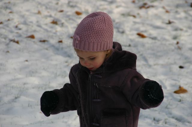 Cliquez pour afficher ou imprimer la photographie en plein format (1,4Mo)