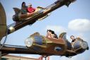 Mickey : 15 photos 